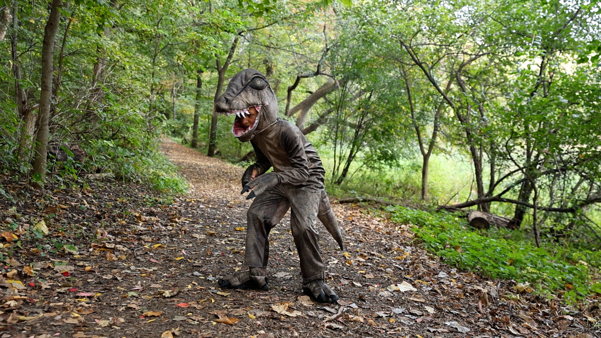 FUN1500CH Kid's T-Rex Costume